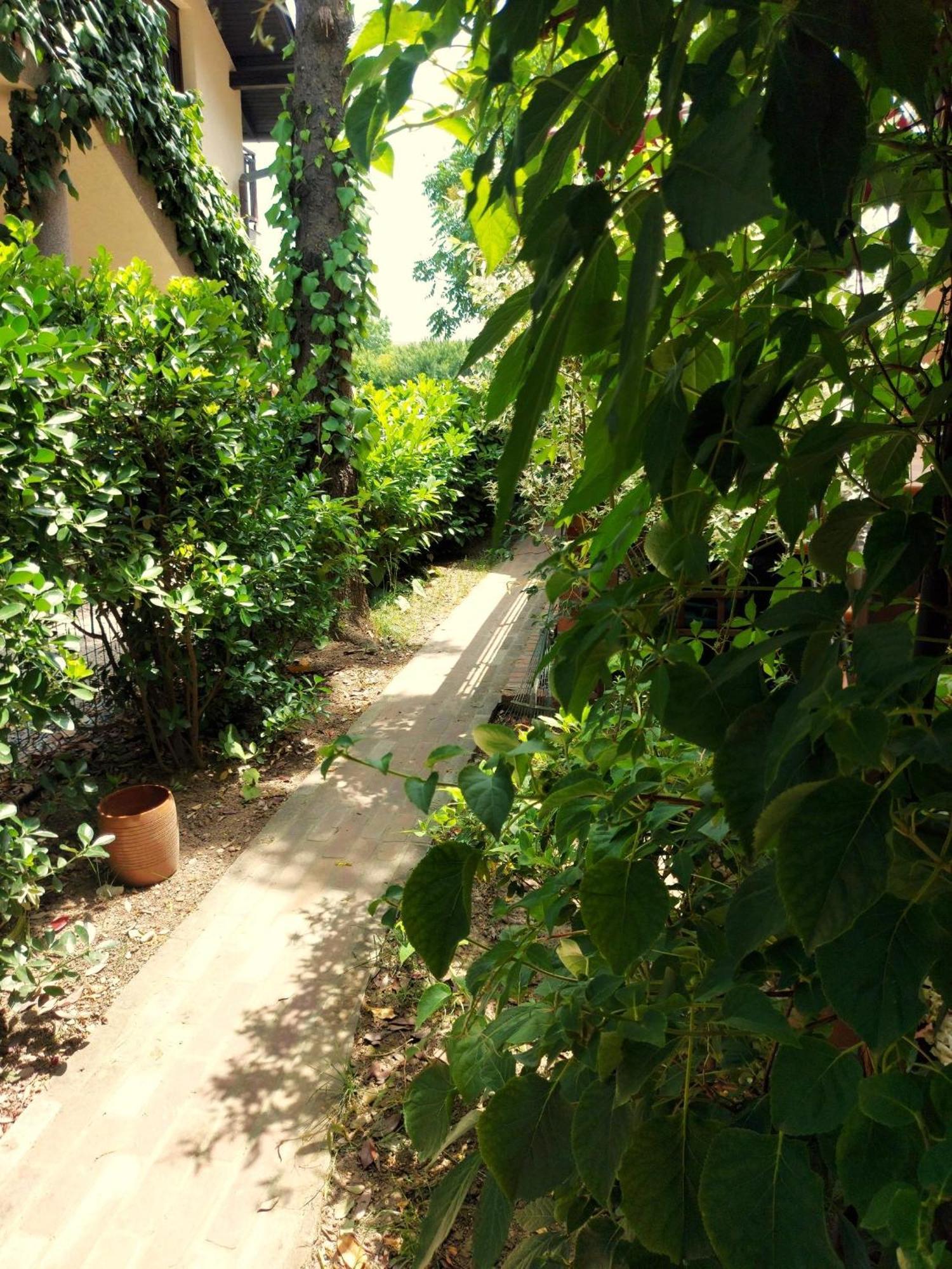 Eden Apartment Sveta Nedjelja  외부 사진